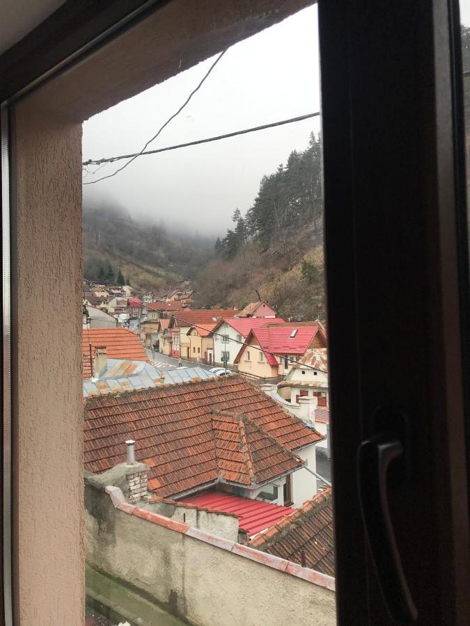 Casa Mountain View Villa Brașov Exterior foto