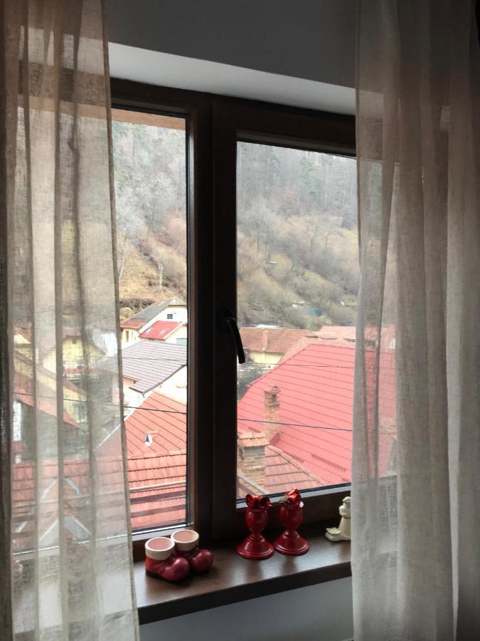 Casa Mountain View Villa Brașov Exterior foto