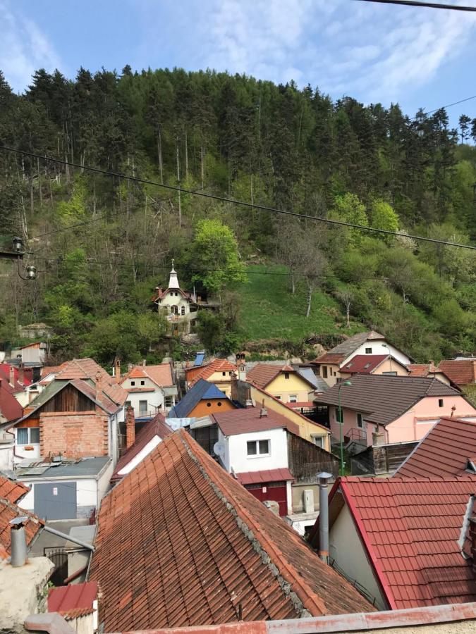 Casa Mountain View Villa Brașov Exterior foto