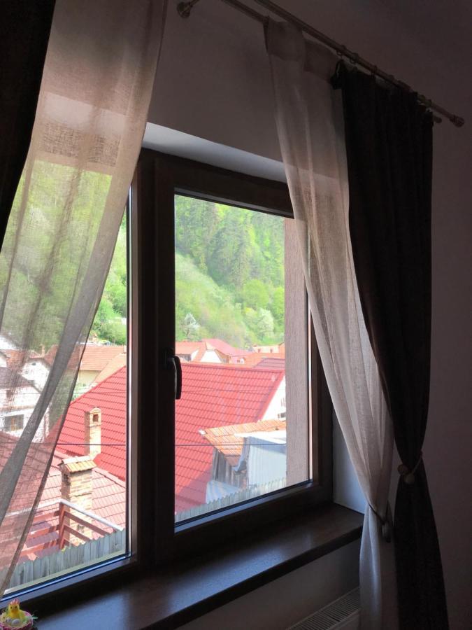 Casa Mountain View Villa Brașov Exterior foto