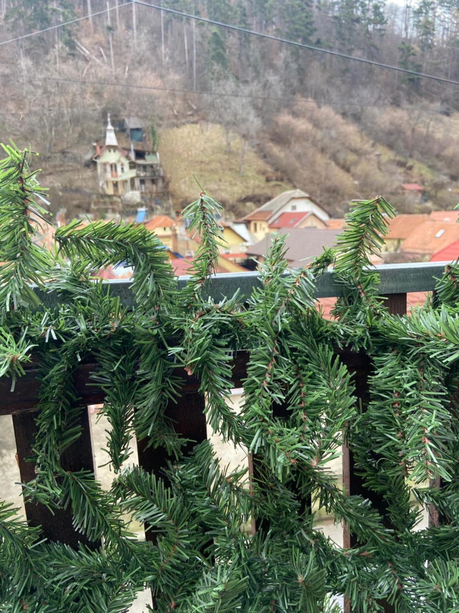 Casa Mountain View Villa Brașov Exterior foto